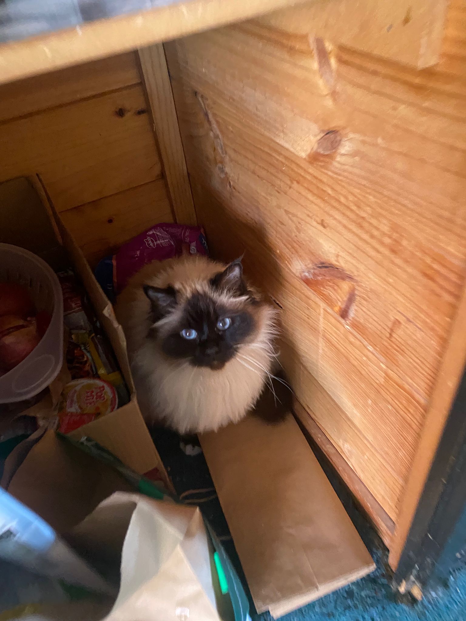 WhatsApp Image 2026-01-14 at 17.16.04