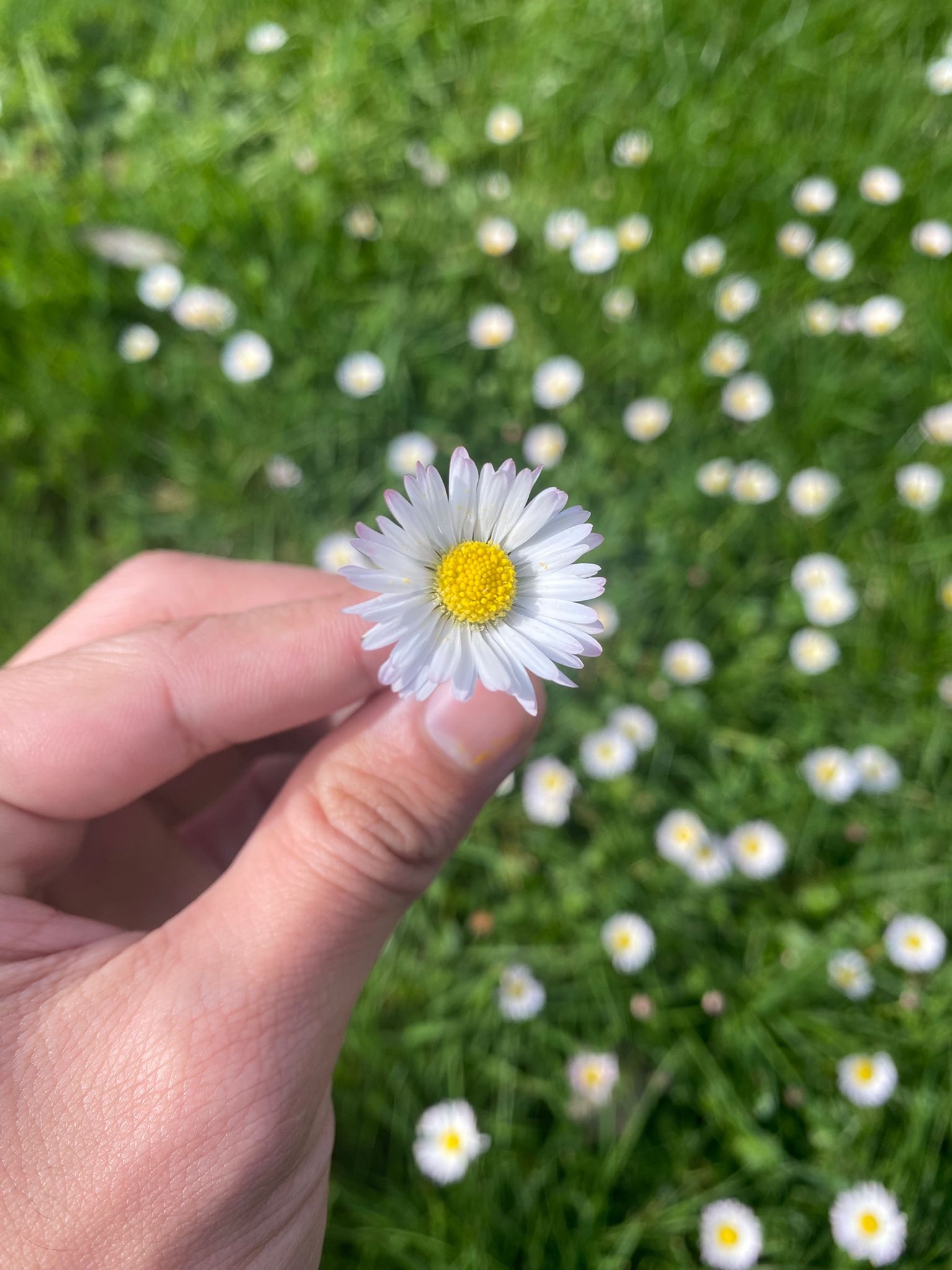 WhatsApp Image 2026-01-14 at 17.16.07